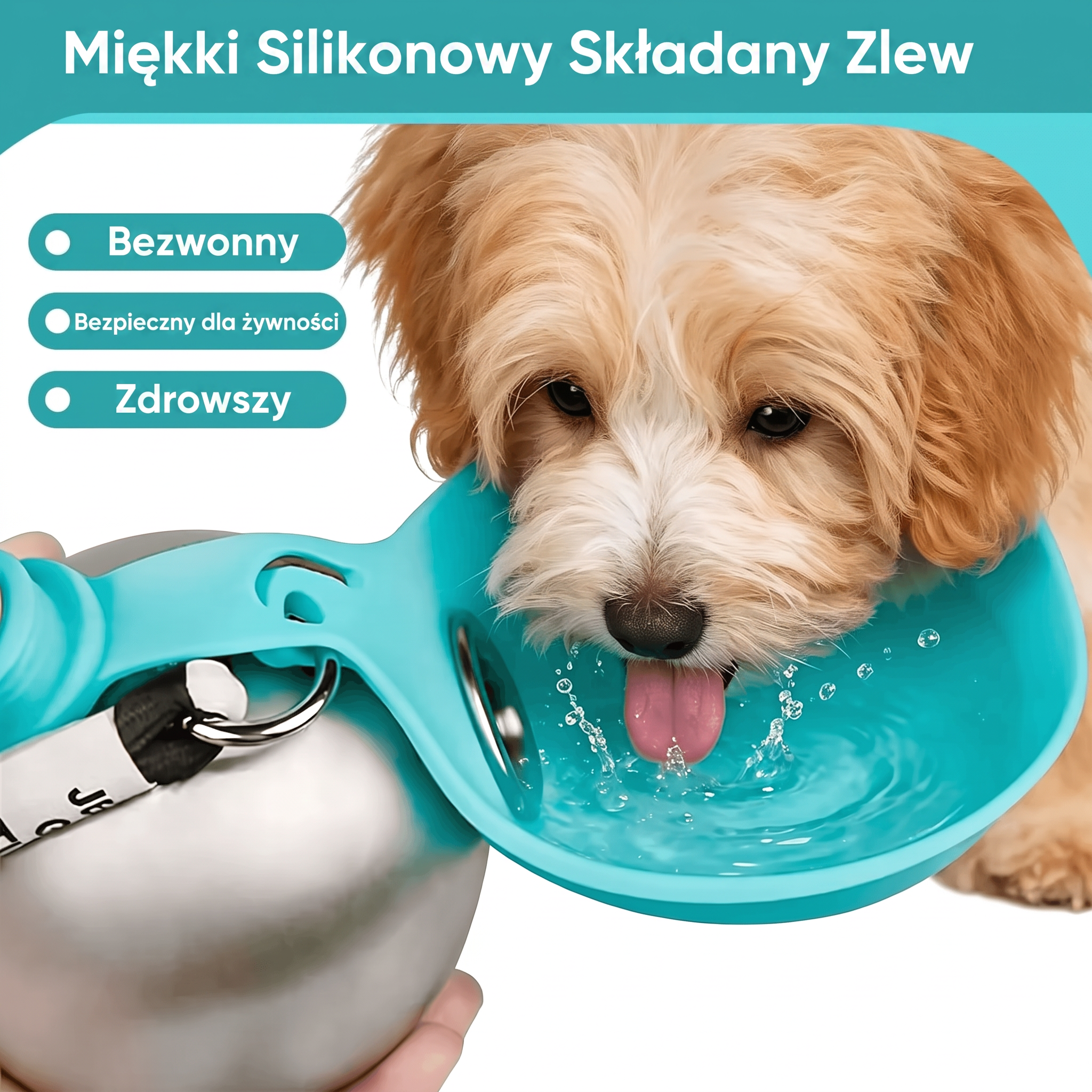 PawDrop-Składane Poidło dla Psa 2w1